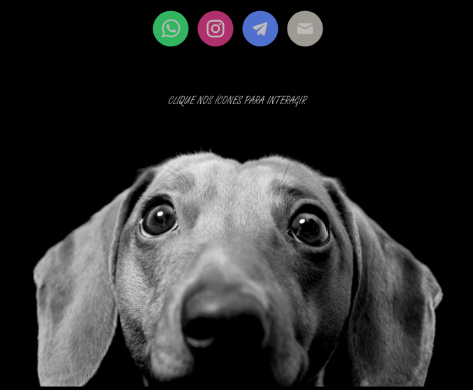Na imagem é possível enxergar 4 ícones de redes sociais. Em ordem: Whatsapp, Instagram, Telegram e Email. Logo abaixo a imagem de um cachorro da raça "Dachshund" e uma mensagem "Clique nos ícones para interagir"